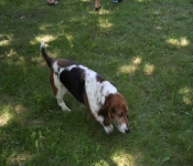 July4th2011 264